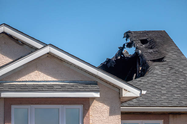 Top rated local Board Up Services specialists in Rogers, MN